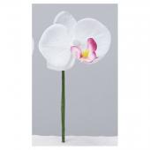 【造花】アスカ/和紙風コチョウランピック(S) #045W ホワイトオーキッド/A-73413-45W