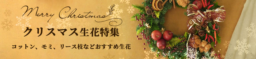 クリスマスのお花特集