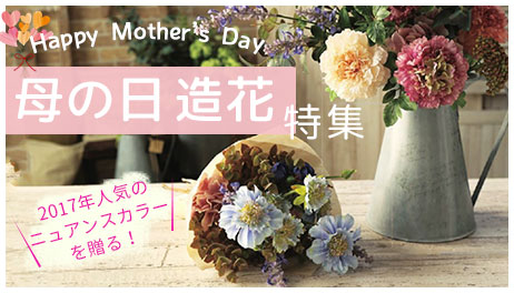 母の日花資材特集