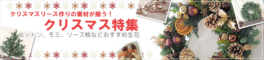 クリスマスのお花特集