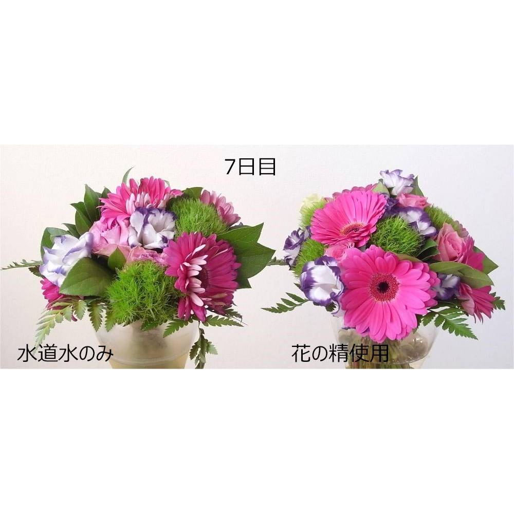特価◎即日★パレス化学/華の精　250ml