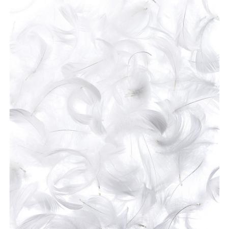 即日★松村工芸/ホワイトコキール　7g/63-3080-0