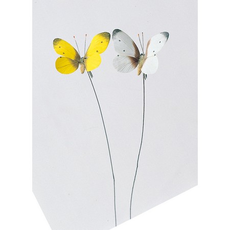 アスカ チョウチョピック ホワイト A 1 通販 はなどんやアソシエ