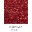 パレス化学/デザイナーズグリッター　ボルドー　　65g