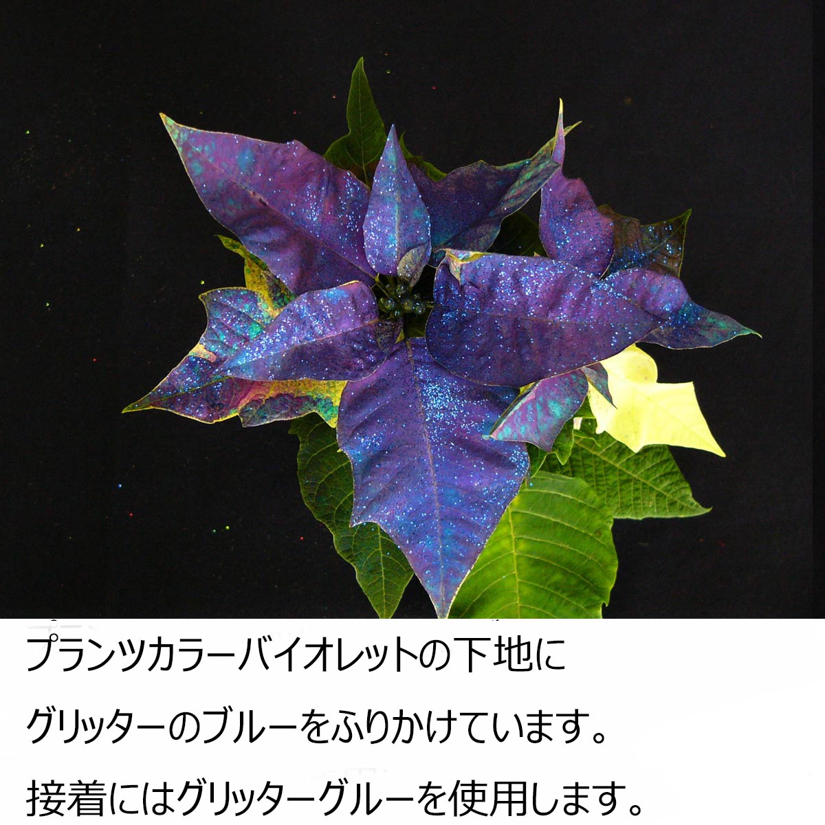 パレス化学/デザイナーズグリッター　65g　ゴールド