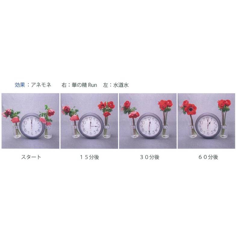 パレス化学/水揚促進剤 華の精Run-潤-　1L