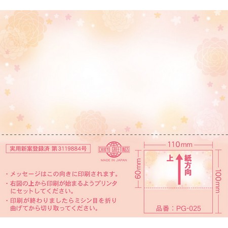 チキュウグリーティングス/プリントギフトカード インクジェットプリンタ対応 20枚/PG-025