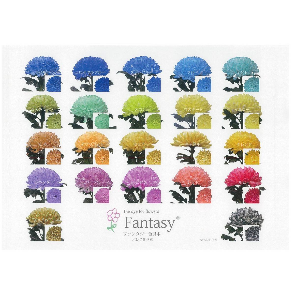 即日★パレス化学/ファンタジー　1L　レッド/167-2014-7