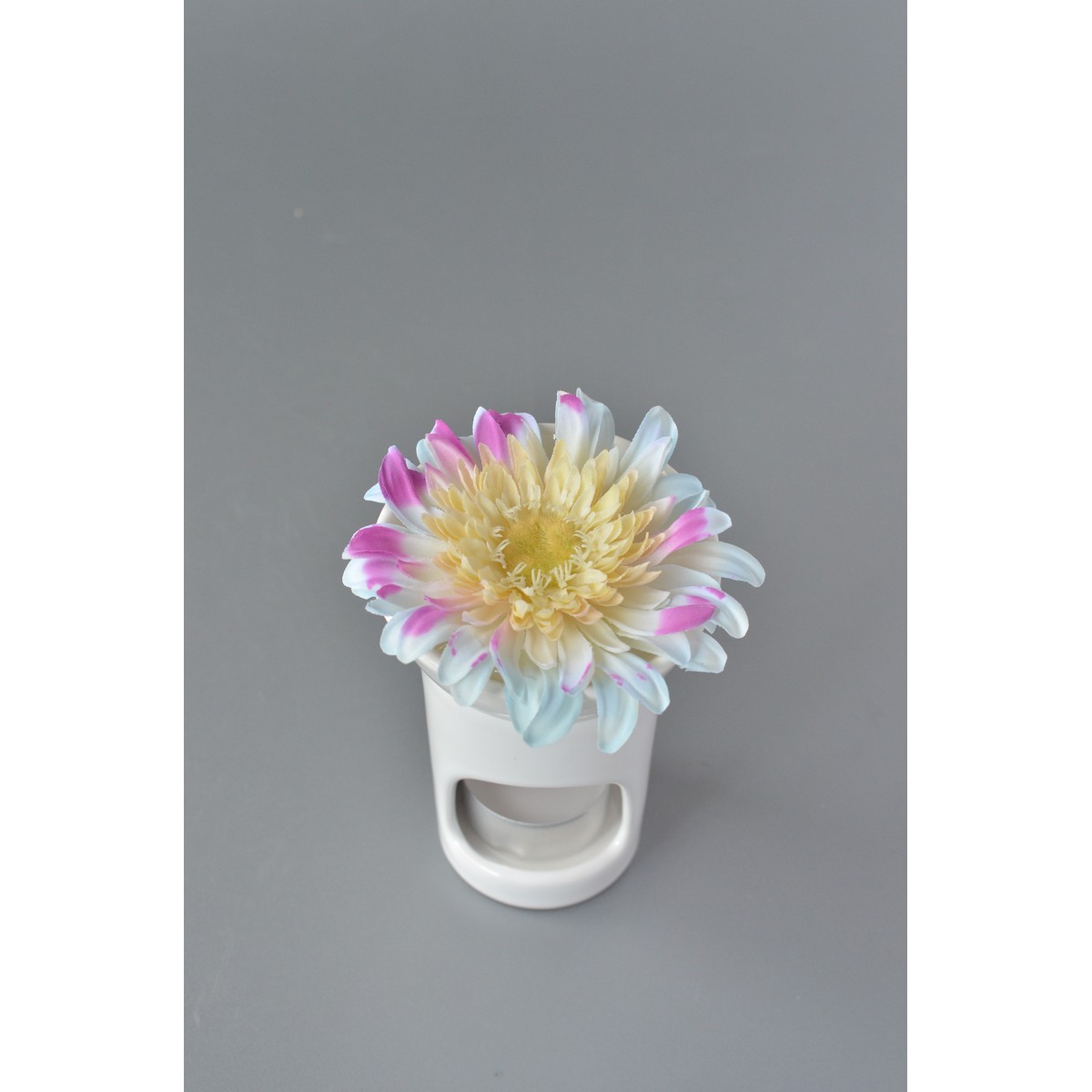 お花の色が変わるアロマポット お ん か 103 165 93 1 通販 はなどんやアソシエ お花の色が変わるアロマポット お ん か 103 165 93 1 通販 はなどんやアソシエ
