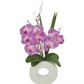 胡蝶蘭 鉢 造花ギフト 通販 はなどんやアソシエ