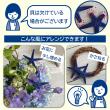 即日★スターフィッシュNo.024 8コ ホワイト/165-1161-1