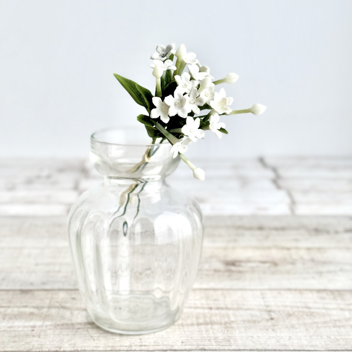 ビバ工芸/VT-2135 ステファノチスピックバンドルWH/VT-2135