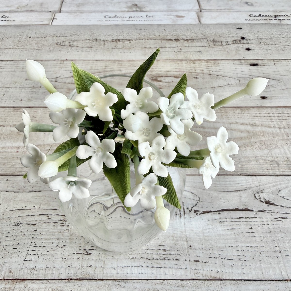 ビバ工芸/VT-2135 ステファノチスピックバンドルWH/VT-2135