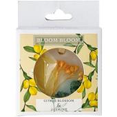 BB ワックスサシェ202-00-021 Vフリージア&ラベンダー/74-20200-21