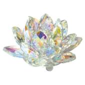【ご参考】 オーロラの開花！！ オーロラロータスS KUND-19089/817-518508-0 - 花材通販はなどんやアソシエ