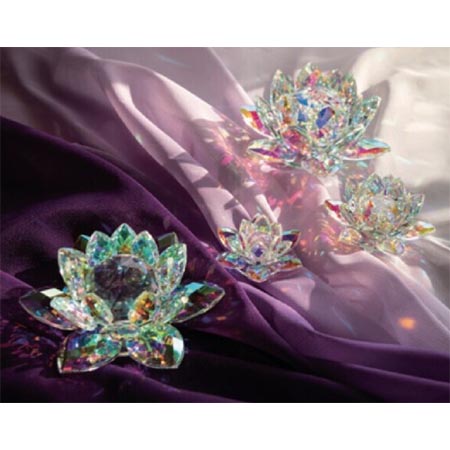 オーロラロータスSS KUND-19088/817-520594-0