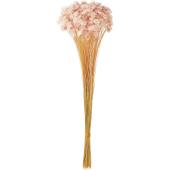 ドライ】スターフラワーブロッサム ツートン ヤク18g イチゴミルク/76