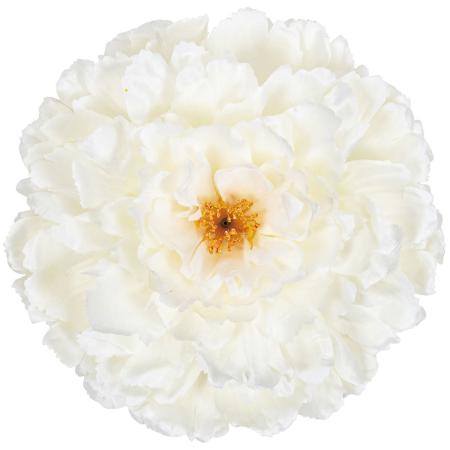 【造花】ビバ工芸/VE-4258 ジャンボピオニー CR