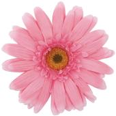 ガーベラ 特価◎松村工芸/VE-6768 ジャンボガーベラ SO/PI - 花材通販はなどんや