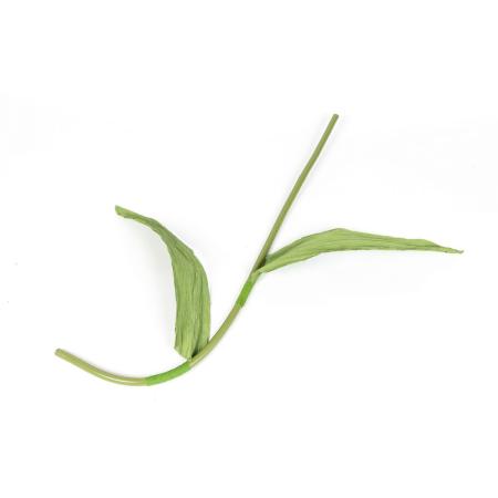 FairytaleFlower用ステム(茎) KUNDM-25136-STEM