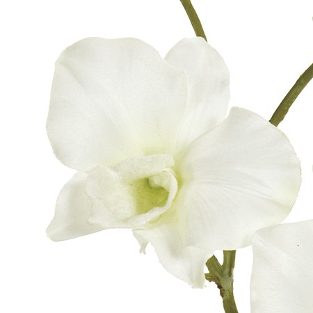 【造花】MAGIQ東京堂/フレッシュデンファレ　ホワイト/FM006715-001