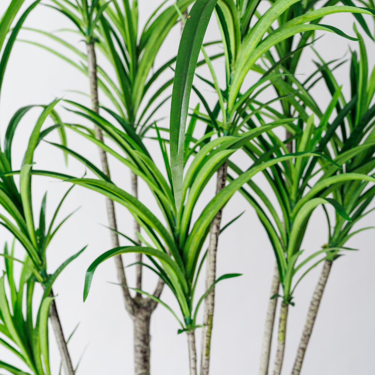 直送】【人工観葉植物】東京堂/ユッカポット L GREEN/FG007648※返品・キャンセル不可 - 花材通販はなどんやアソシエ