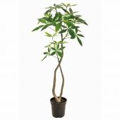 特価◎【直送】【人工観葉植物】MAGIQ東京堂/パキラ...