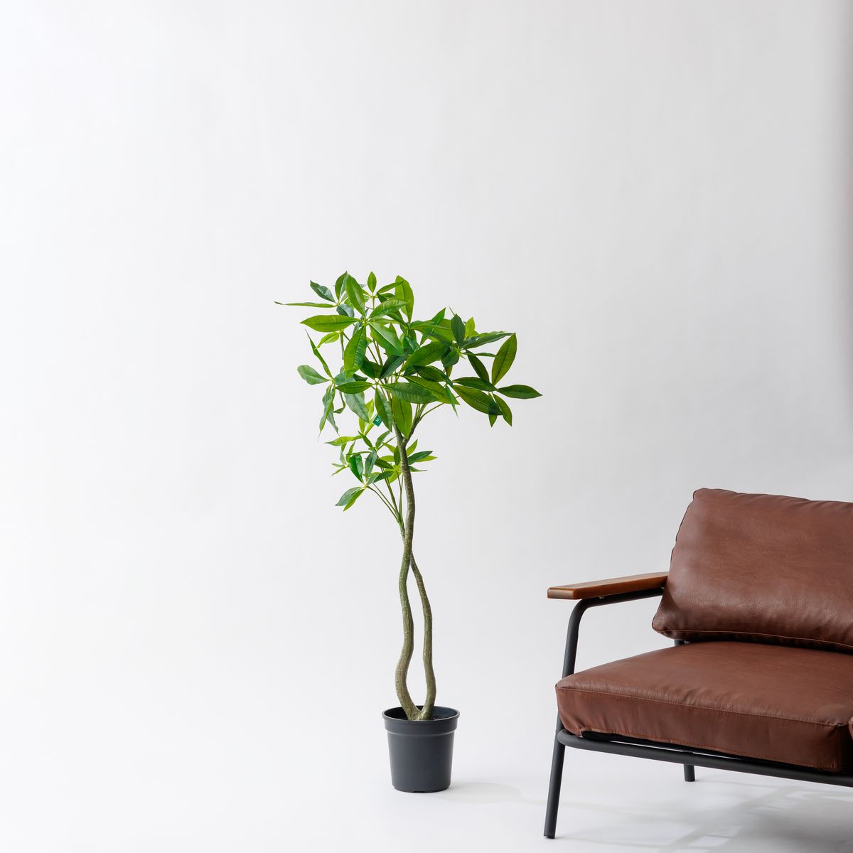【直送】【人工観葉植物】MAGIQ東京堂/パキラ 4F (光触媒)/ZV022000 ※返品代引キャンセル不可