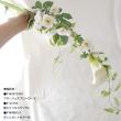 即日★【造花】東京堂/ヴィンセントカラー　M　ホワイト/FW099052-001