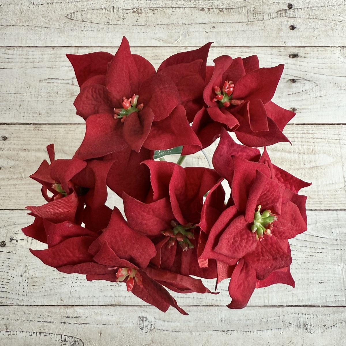 即日★【造花】MAGIQ東京堂/ミニポインセチアバンドル RED/FX008148