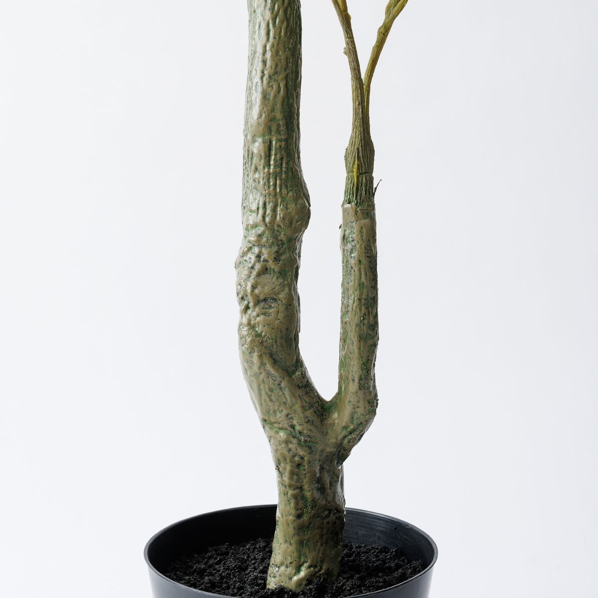 【直送】【人工観葉植物】MAGIQ東京堂/ウンべラータ　　/FG016500※返品代引不可