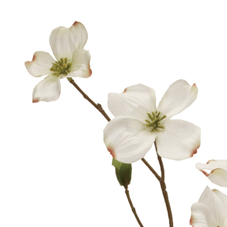 造花 Magiq 東京堂 シャンティ花みずき 1 Cream Fm 001 通販 はなどんやアソシエ 造花 Magiq 東京堂 シャンティ花みずき 1 Cream Fm 001 通販 はなどんやアソシエ