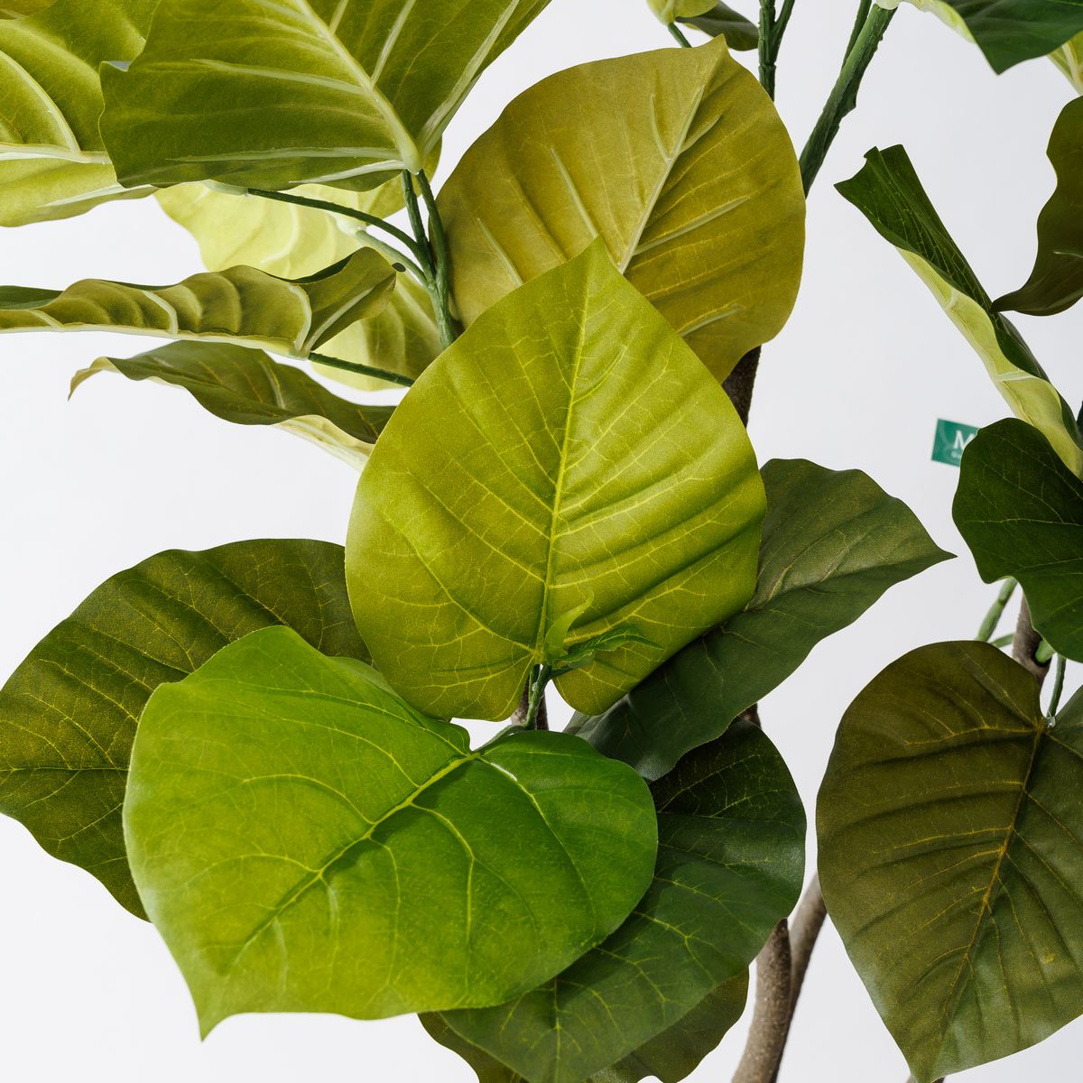 【直送】【人工観葉植物】MAGIQ東京堂/ウンベラータ ツイスト グリーン 5F/FG005226 ※返品代引不可