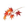 即日★【造花】MAGIQ東京堂/もみじ枝ミニ　#3  RED レッド　3枝付き/FG009222-003
