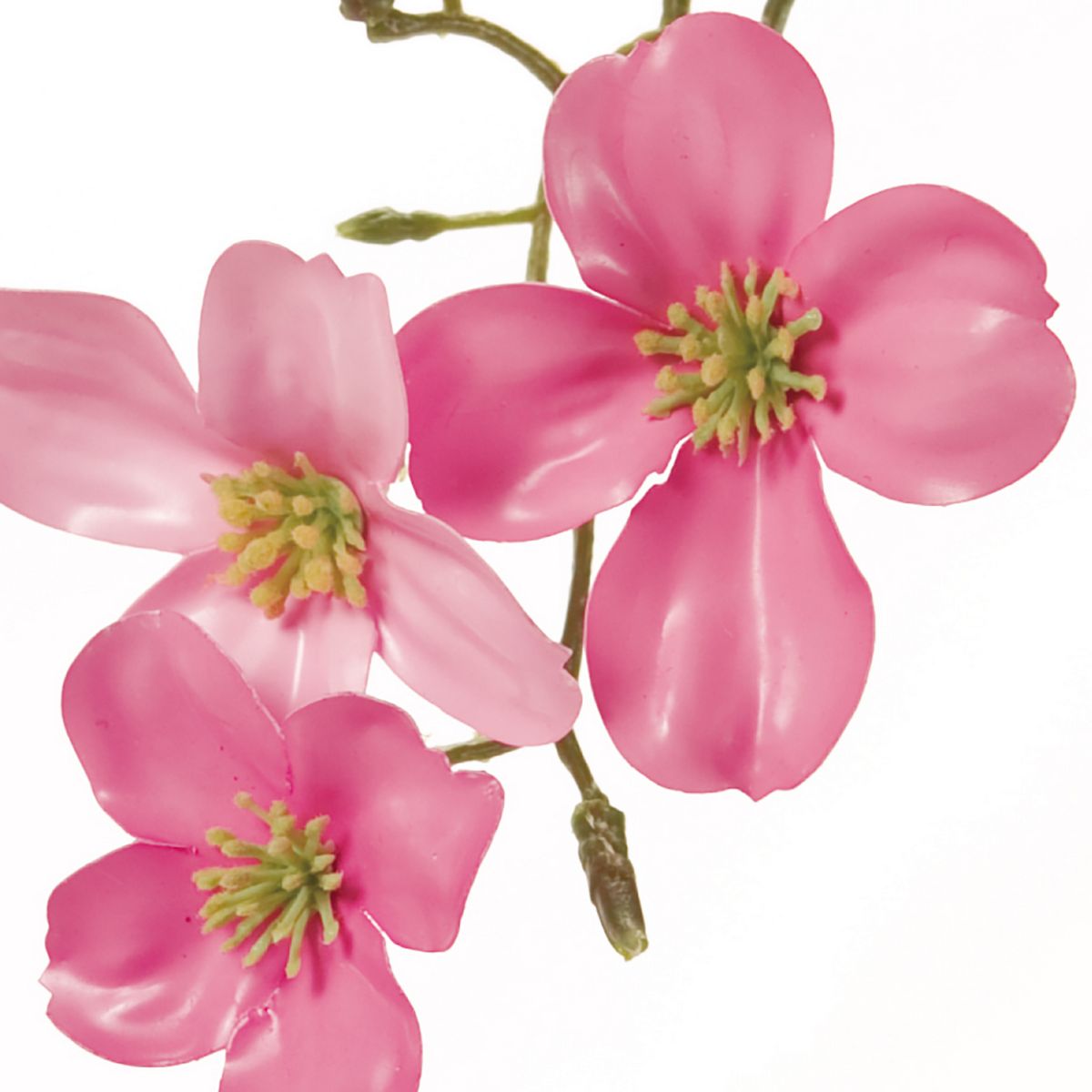 造花 Magiq 東京堂 花みずきポーセリナ 52 ダークピンク Fm 052 通販 はなどんやアソシエ 造花 Magiq 東京堂 花みずきポーセリナ 52 ダークピンク Fm 052 通販 はなどんやアソシエ