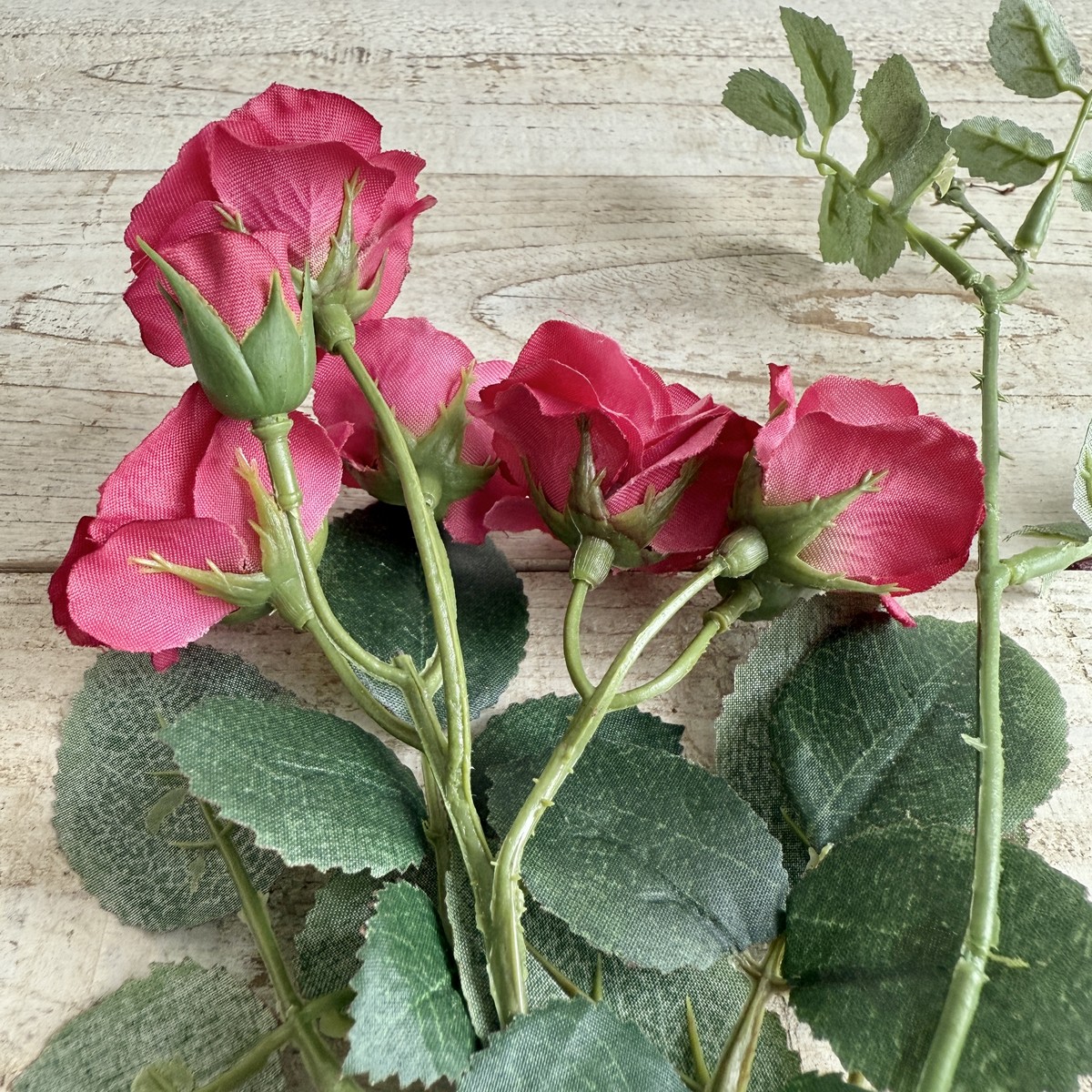 【造花】MAGIQ東京堂/パレットローズ #53 ビューティ/FM000160-053