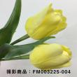 即日★【造花】MAGIQ(東京堂)/パルティチューリップ #4 イエロー/FM003225-004