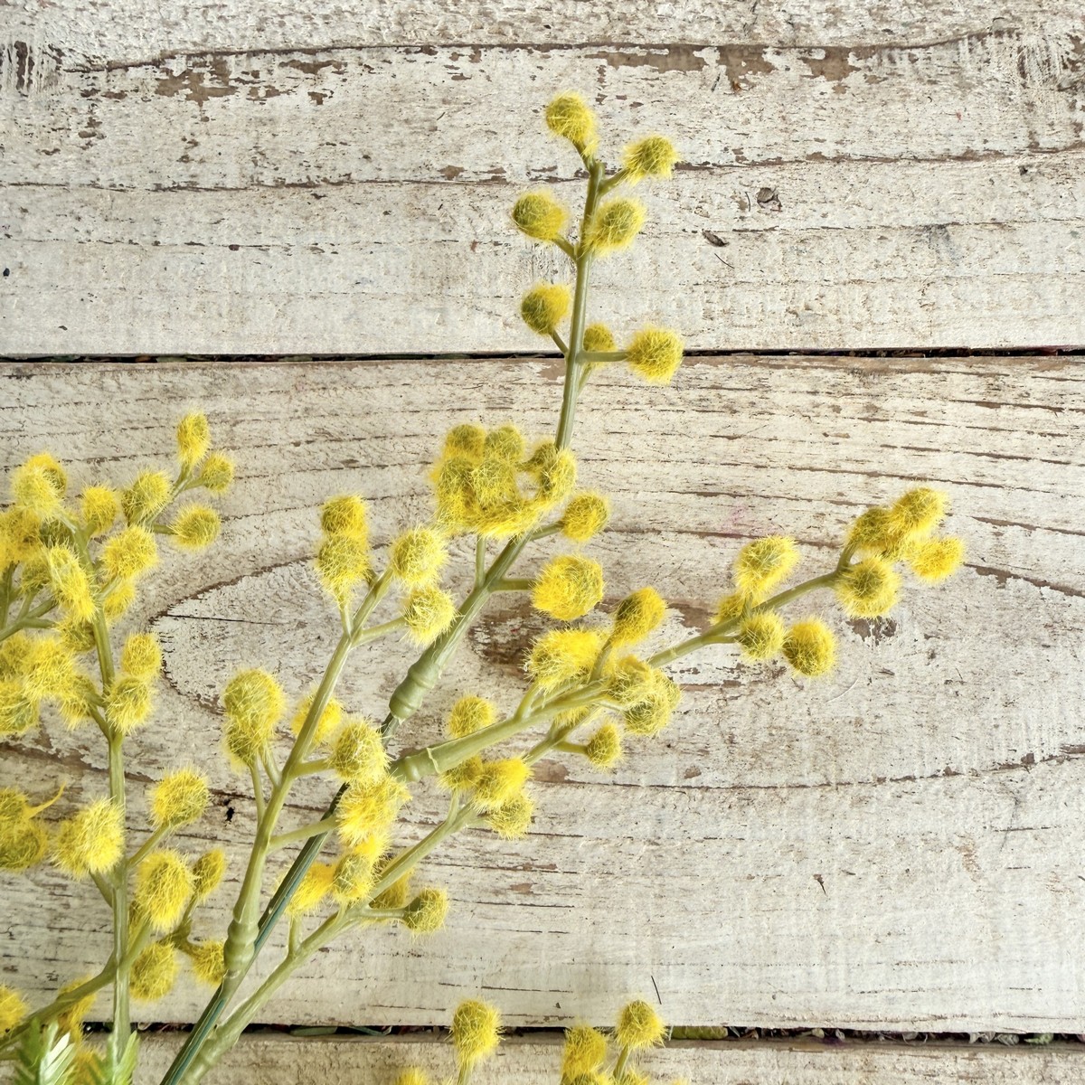 【造花】MAGIQ東京堂/チェリッシュミモザ YELLOW イエロー/FM003409