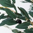 【直送】【人工観葉植物】MAGIQ東京堂/オリーブツリーポット5F グリーン/FG003910※返品代引不可