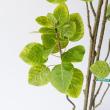 【直送】【人工観葉植物】MAGIQ東京堂/スモークツリーポット5F グリーン/FG005770 ※返品代引不可