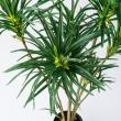 【人工観葉植物】MAGIQ東京堂/ユッカポット GREEN グリーン/FG011707