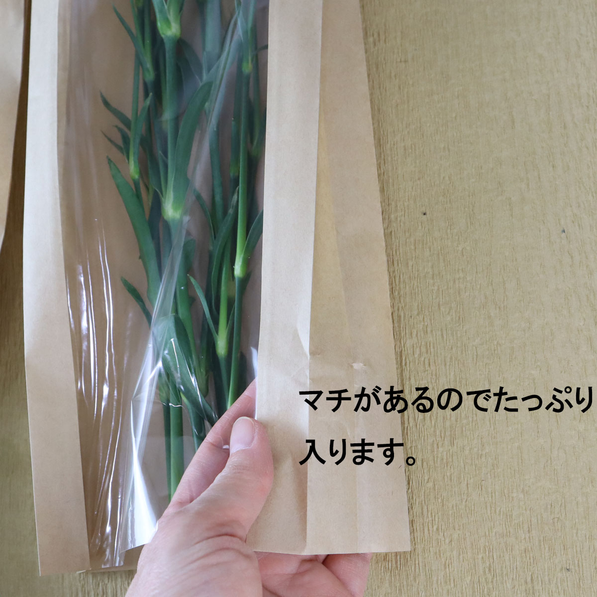 特価◎即日★東京リボン/クラフトスリーブ 約50CMX約18CM 50枚 /36-62463-0