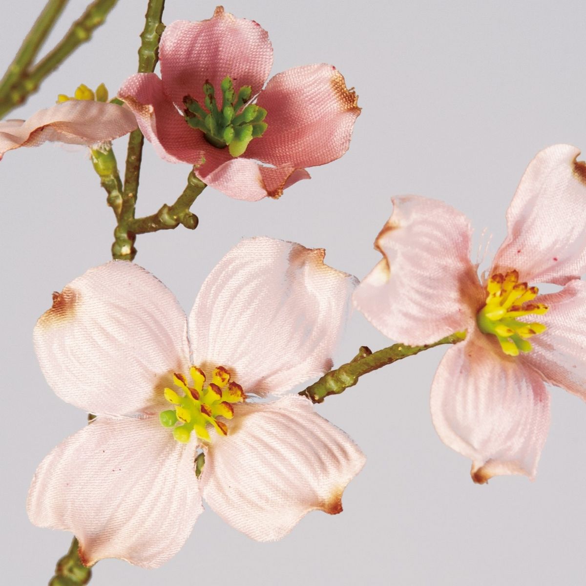 造花 Magiq 東京堂 乙女花みずき Fm 通販 はなどんやアソシエ 造花 Magiq 東京堂 乙女花みずき Fm 通販 はなどんやアソシエ