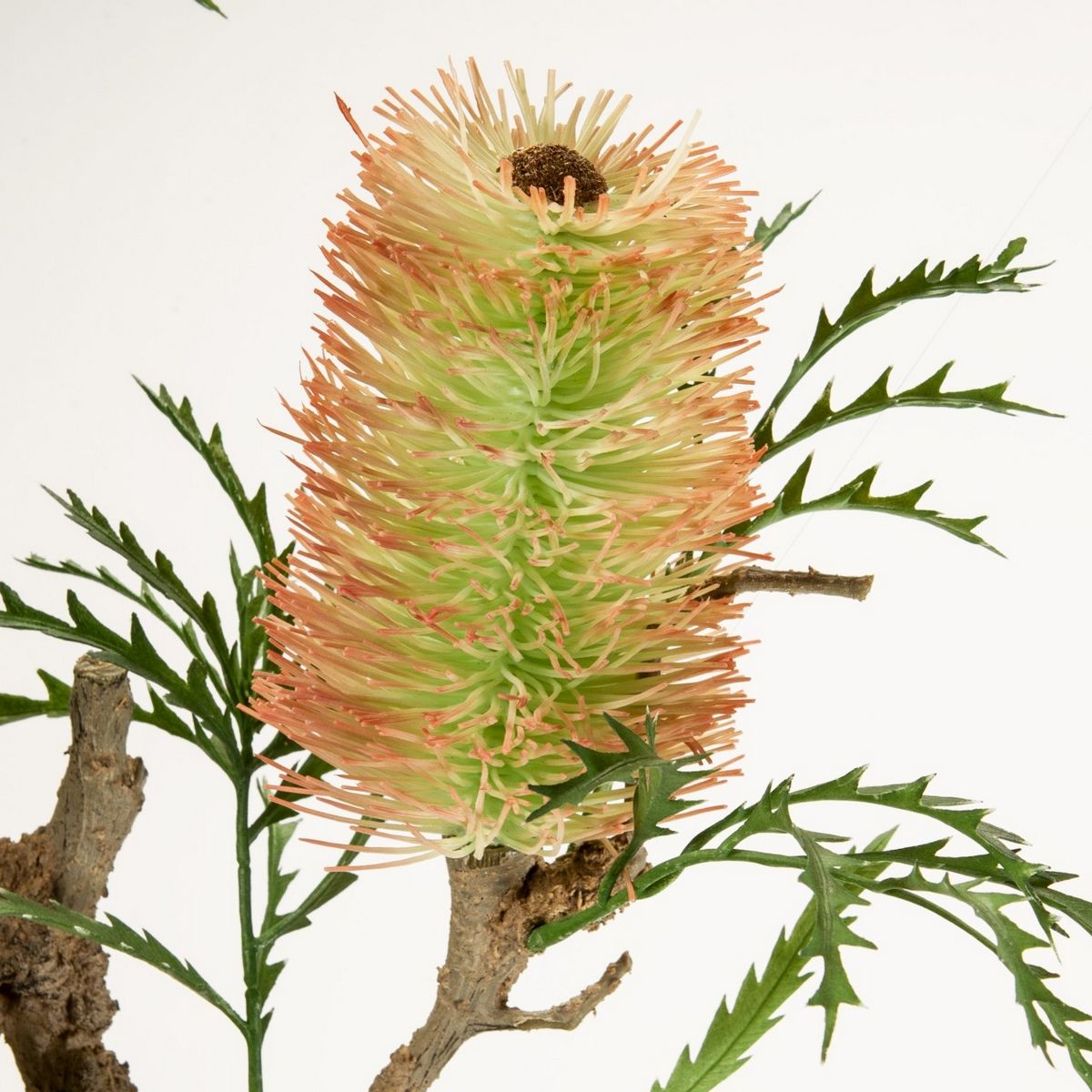 造花 Magiq 東京堂 バンクシアブランチ Fm 通販 はなどんやアソシエ 造花 Magiq 東京堂 バンクシアブランチ Fm 通販 はなどんやアソシエ