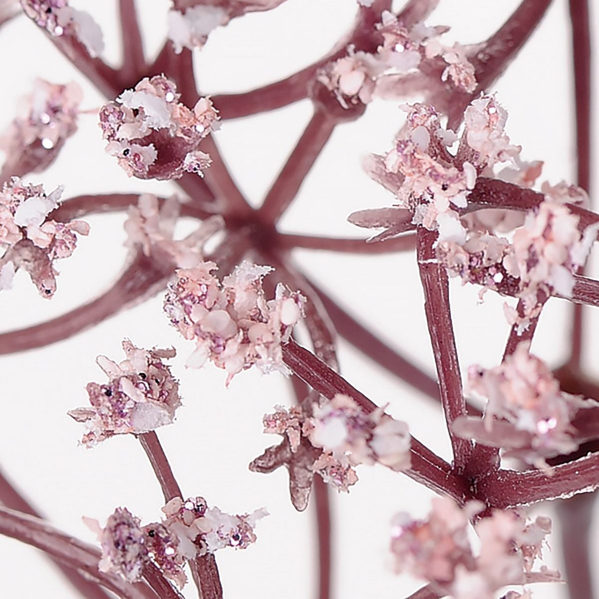 造花 Magiq 東京堂 煌めきかすみ草 2 Ltpk Fj 002 通販 はなどんやアソシエ 造花 Magiq 東京堂 煌めきかすみ草 2 Ltpk Fj 002 通販 はなどんやアソシエ