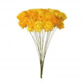 ※販売終了※【ドライ】へリクリサムワイヤー付き イエロー 約25本入り/DN000045-004