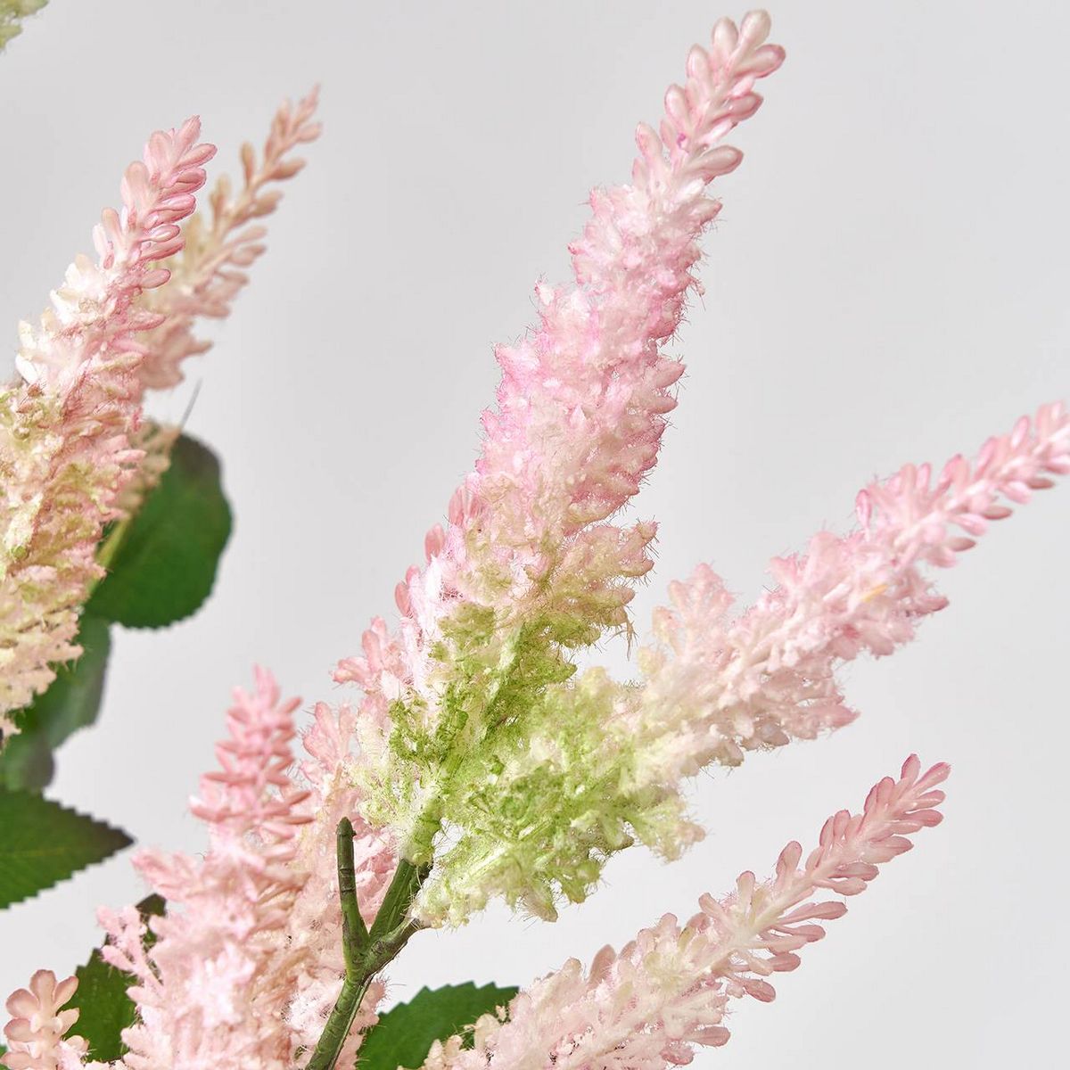 造花 Magiq 東京堂 フレリアアスチルベ Pink Fm 通販 はなどんやアソシエ 造花 Magiq 東京堂 フレリアアスチルベ Pink Fm 通販 はなどんやアソシエ