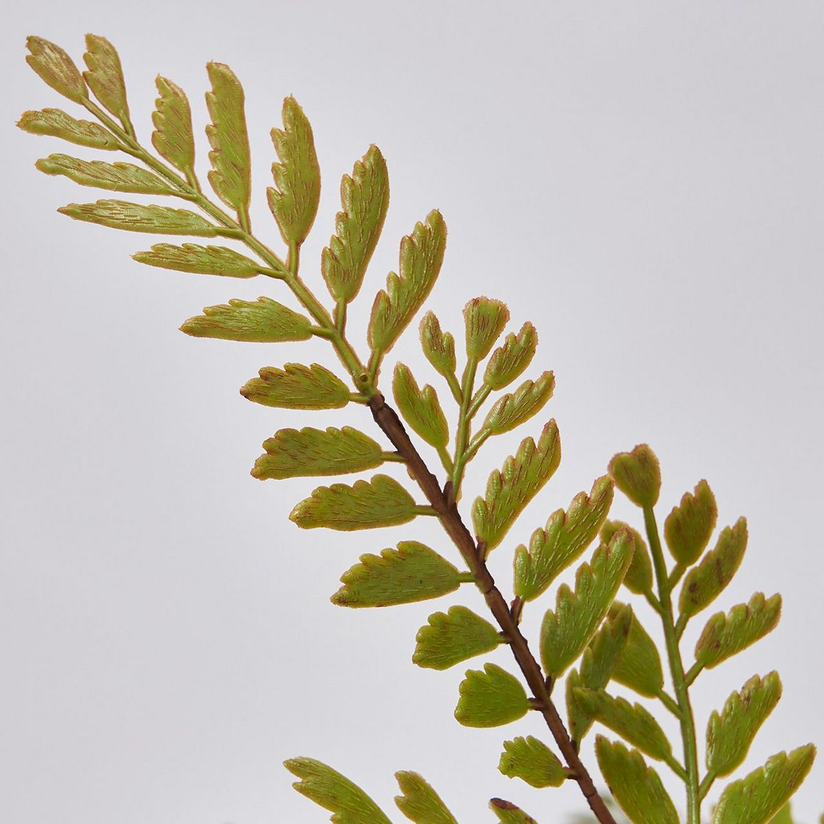 人工観葉植物 シダプランツポット Green Fz 人工観葉植物 シダプランツポット Green Fz