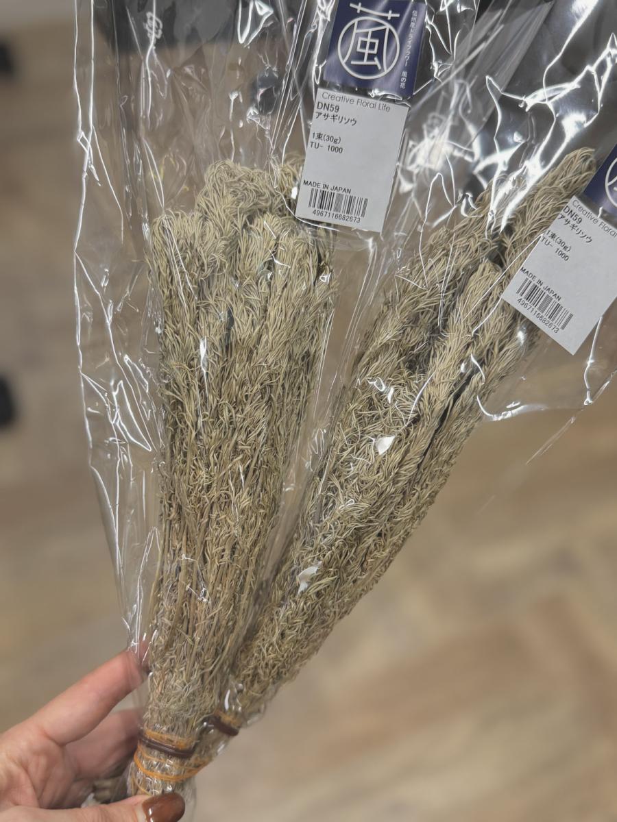 【ドライ】アサギリソウ/DN000059