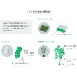 【直送】【造花】MAGIQ東京堂/ReCO マグノリアグランデ WHITE/FM302024 ※返品・代引・キャンセル不可